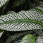 resized_17_api